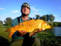 /album/fotogaleria/miso-koi-jpg/